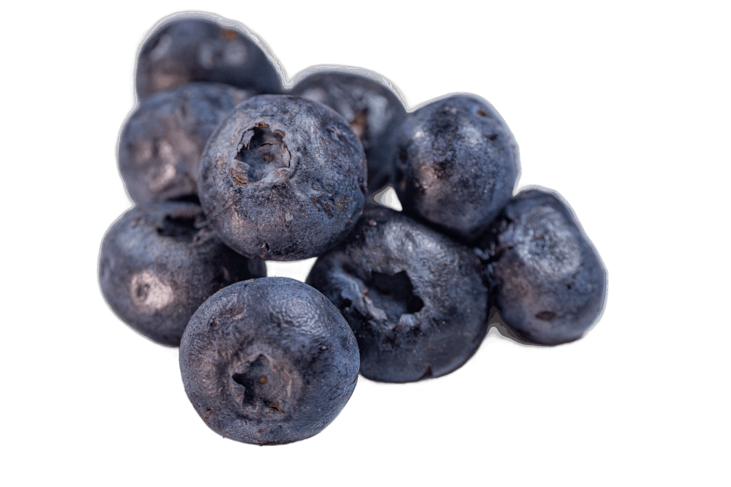 Freeze Dried Blueberries Freeze Dried Blueberries